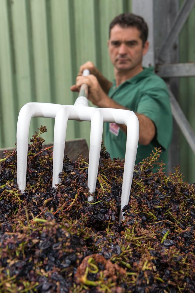 Hygiene Rake, 205 mm, , White