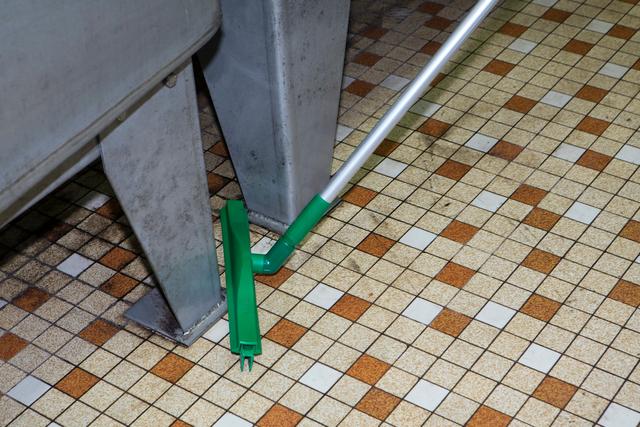 Hygienic Revolving Neck  Squeegee w/replacement cassette, 405 mm, , Blue