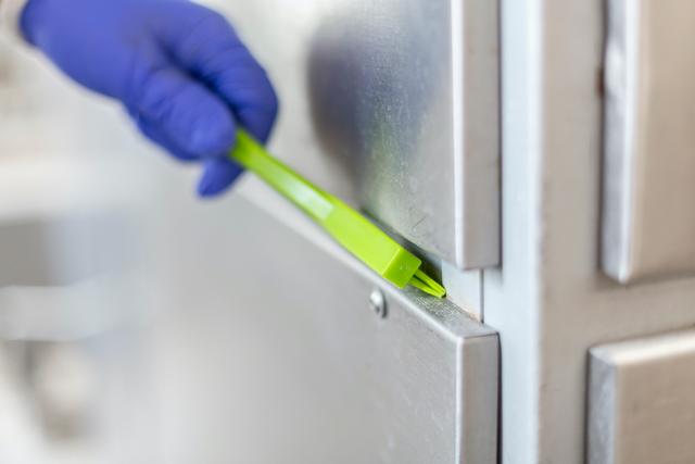 Detail Brush, 205 mm, Very hard, Lime