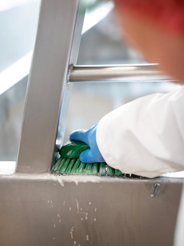 Vikan XL Hand Brush, 230 mm, Very hard, White