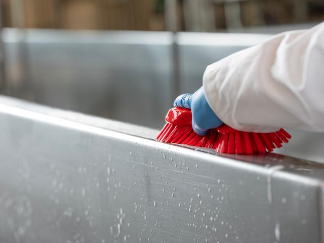 Vikan XL Hand Brush, 230 mm, Very hard, Blue